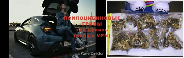 скорость mdpv Белокуриха