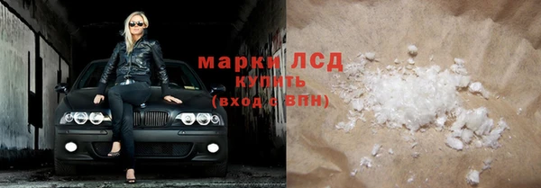 ECSTASY Бородино