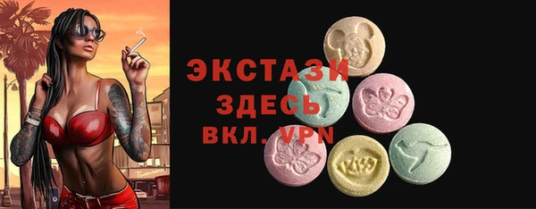 ECSTASY Бородино