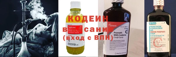 ECSTASY Бородино