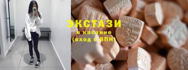 ECSTASY Бородино