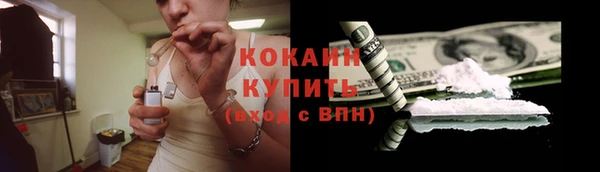 ECSTASY Бородино