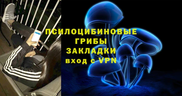 винт Верея