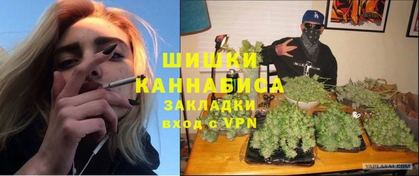 ECSTASY Бородино