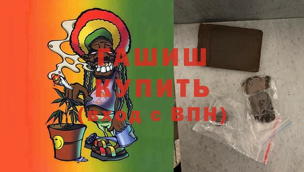 ECSTASY Бородино