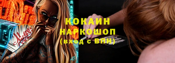 ECSTASY Бородино