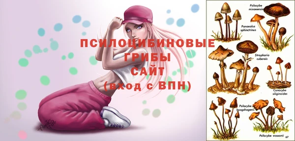 МДМА Верхний Тагил